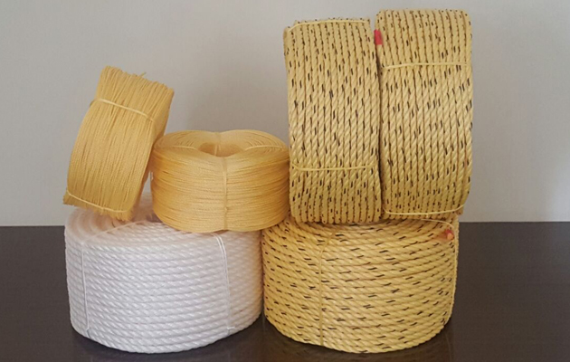 PP Danline Ropes